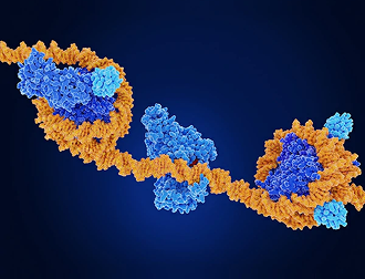 Microbial Genomics