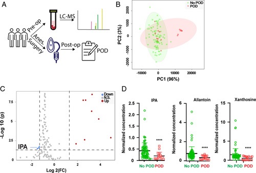 Indole-3-Propionic Acid, a Gut Microbiota Metabolite, Protects Against the Development of Postoperative Delirium