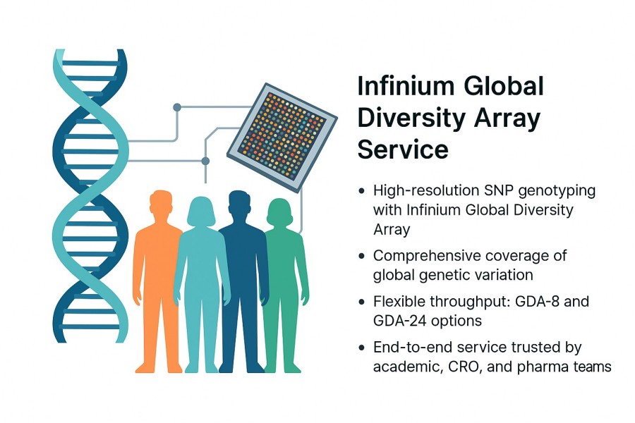 Synthetic RNA Sequencing and Modification Analysis Solution