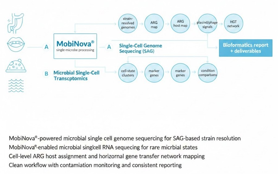 Microbial Single-Cell Sequencing Services: High-Throughput SAG & scRNA-seq via MobiNova®