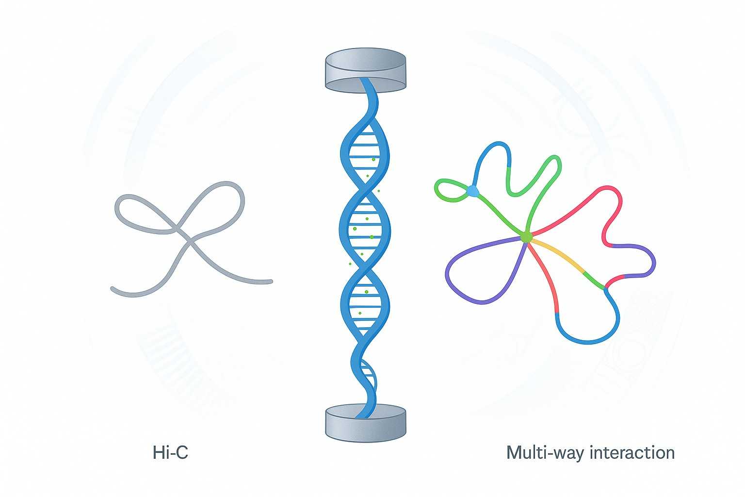 Pore-C Sequencing: Multi-Way Chromatin Mapping With Methylation