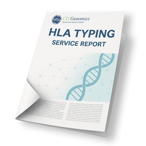 Accurate HLA & KIR Typing Services – Research Grade Immunogenetic Profiling