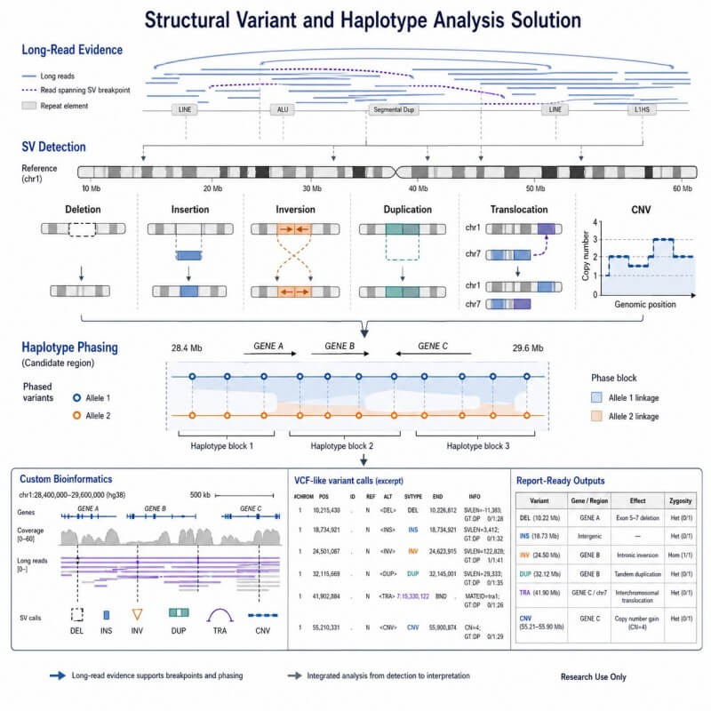 Structural Variant and Haplotype Analysis Solution