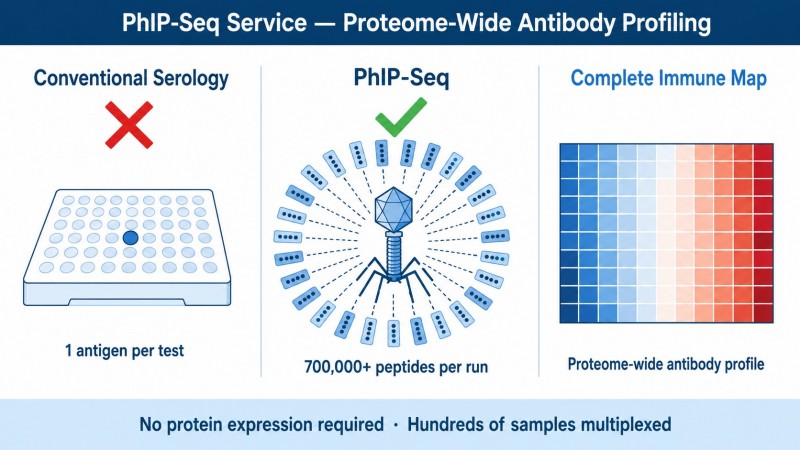 PhIP-Seq Service — Proteome-Wide Antibody Profiling by Phage Immunoprecipitation Sequencing