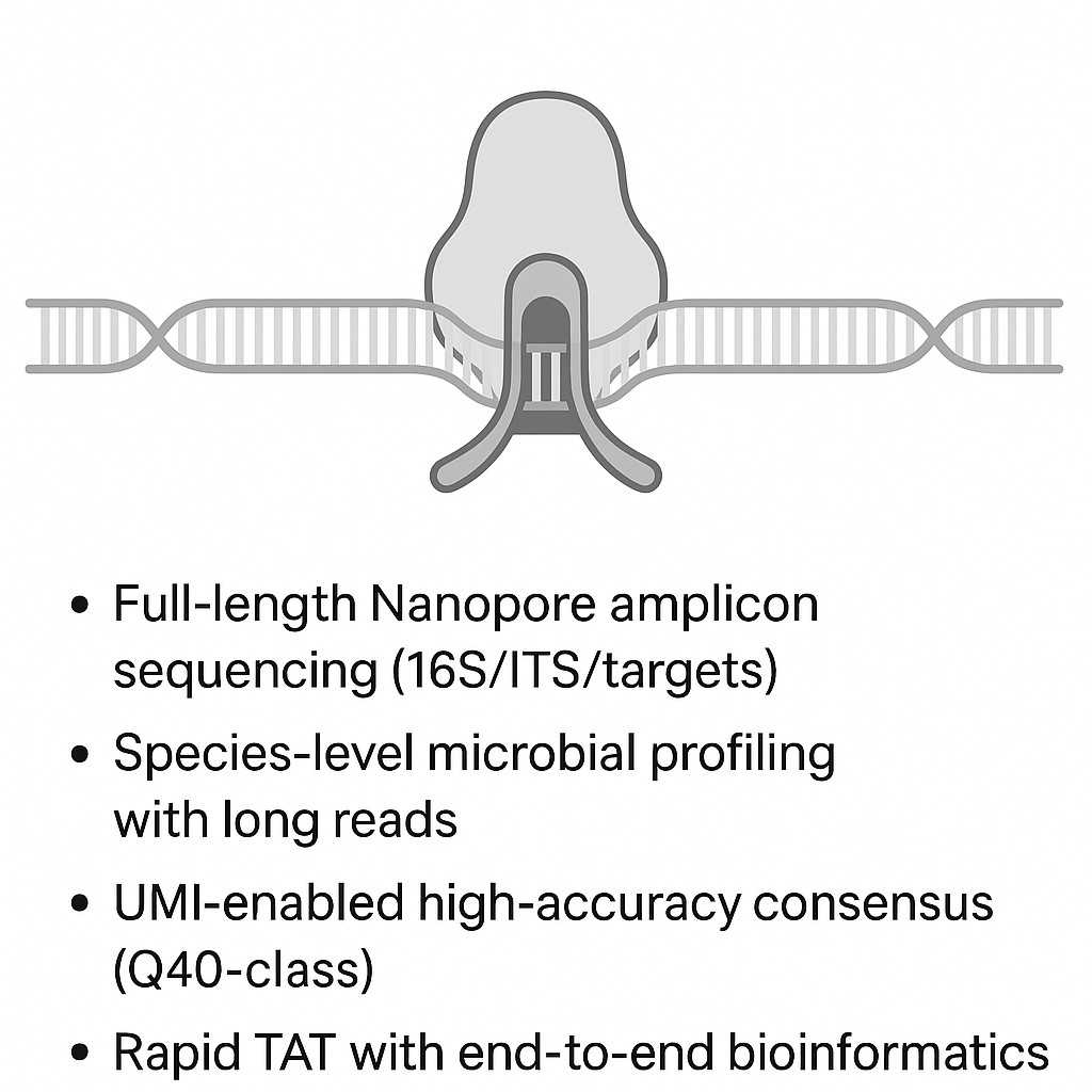 Nanopore Amplicon Sequencing Service