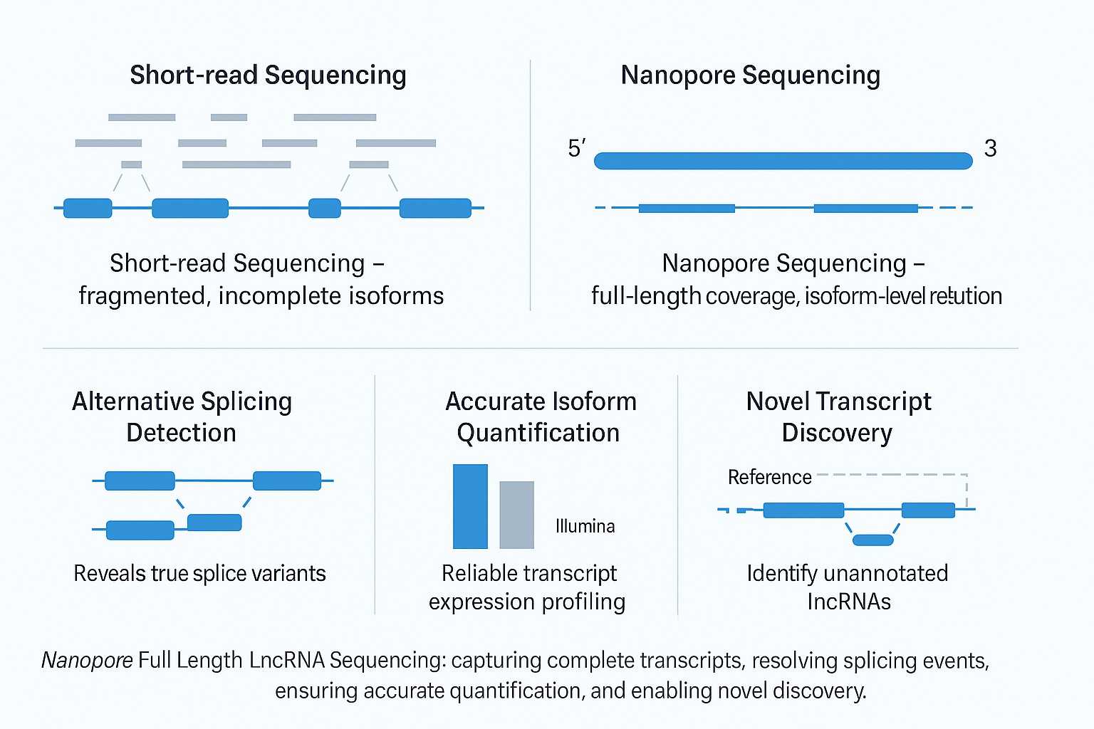 Nanopore Full Length LncRNA Sequencing Service for Isoform Discovery