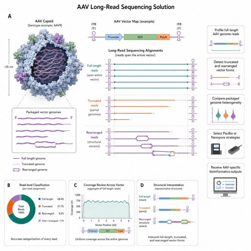 AAV Long-Read Sequencing Solution
