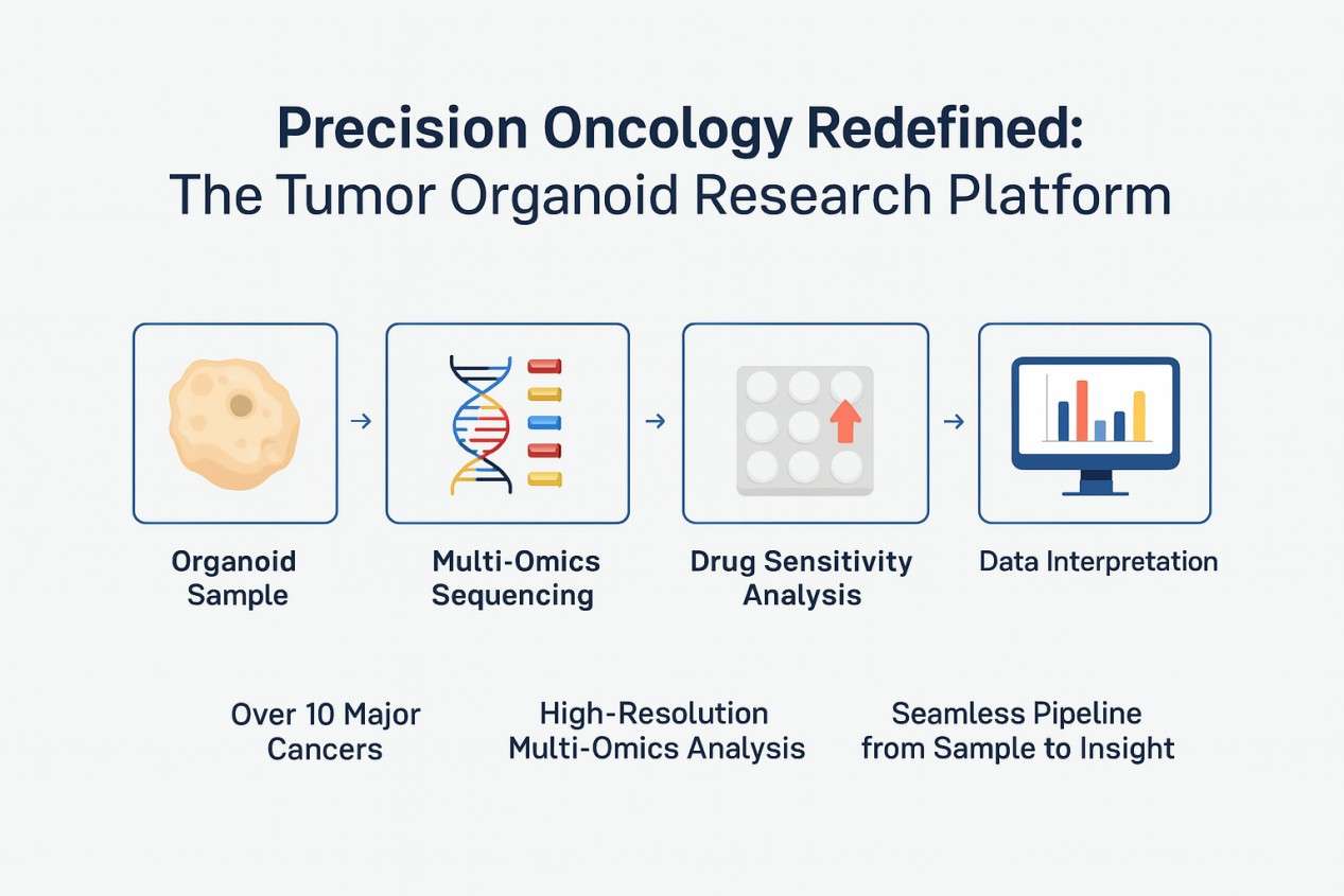 Organoid Sequencing Solutions: Map Heterogeneity and Uncover Drug Responses