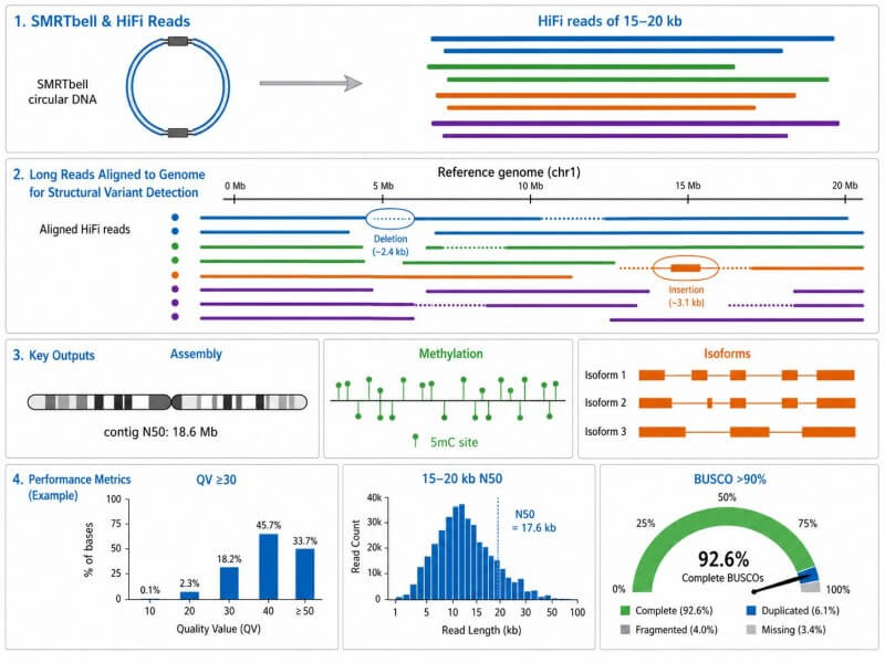 PacBio SMRT Sequencing Services — Long-Read Accuracy Without Compromise