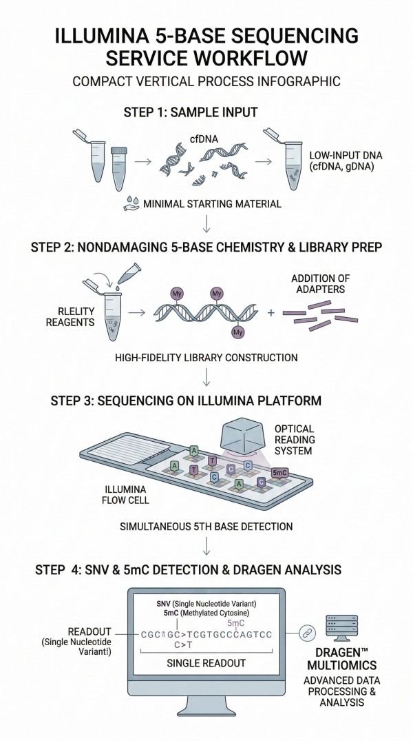 Illumina 5-base Sequencing Service: Unified Insights into the Genome and Methylome