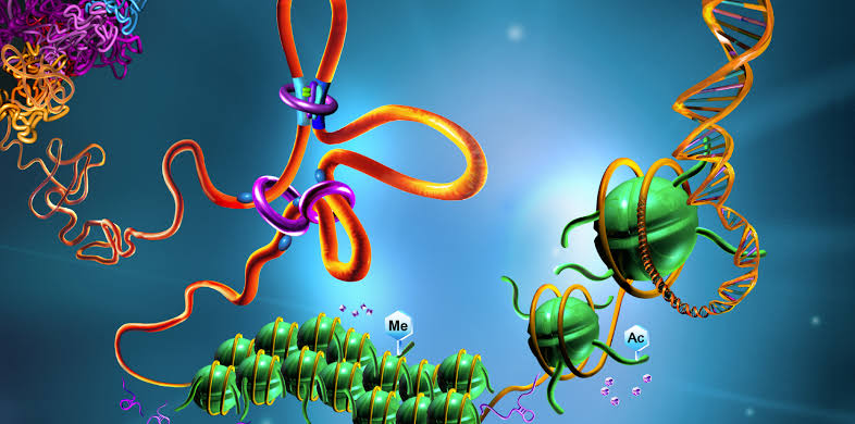 Whole Genome Sequencing